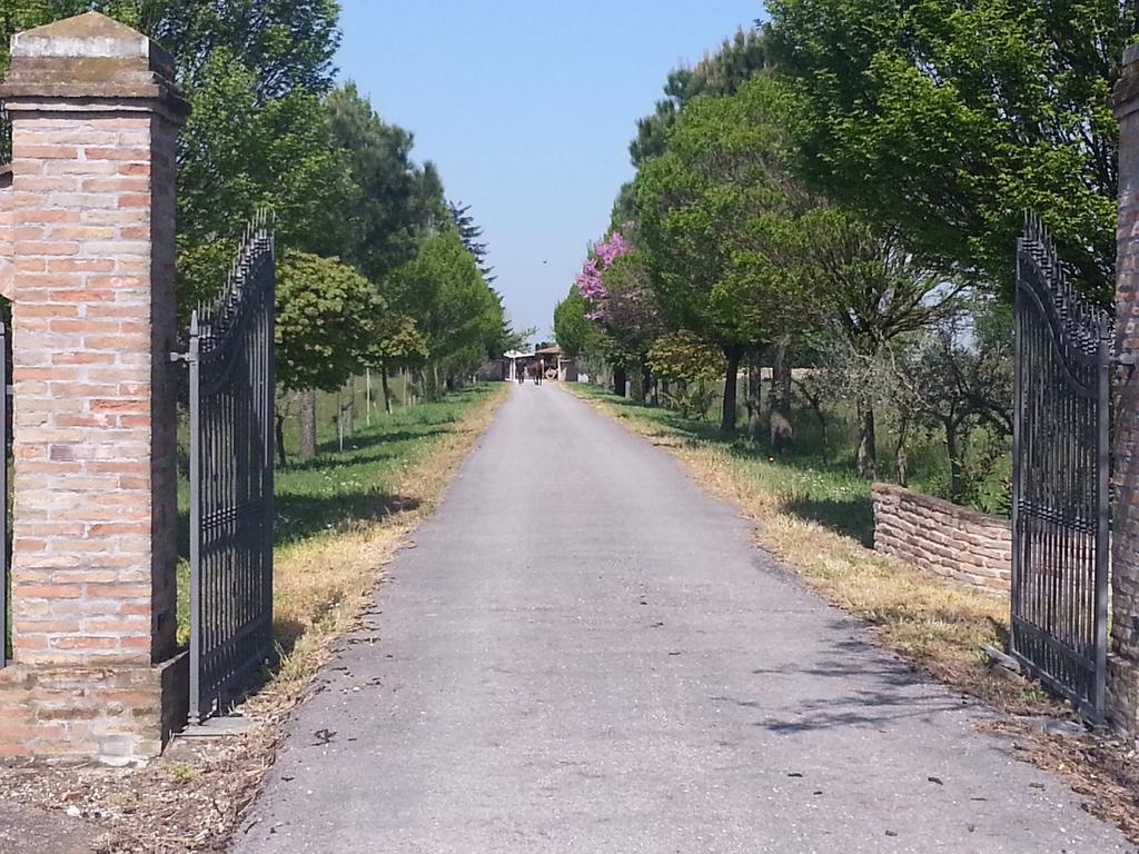 Villa Agriturismo L'Angelina à Alfonsine Extérieur photo