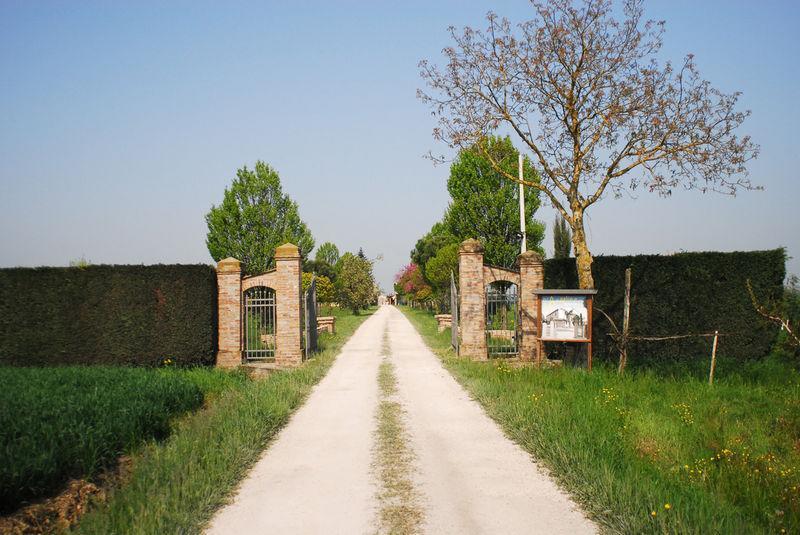 Villa Agriturismo L'Angelina à Alfonsine Extérieur photo